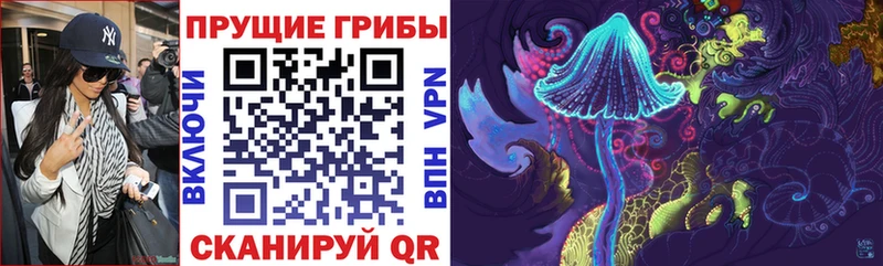 ОМГ ОМГ   Полевской  Псилоцибиновые грибы MAGIC MUSHROOMS  где купить наркоту 